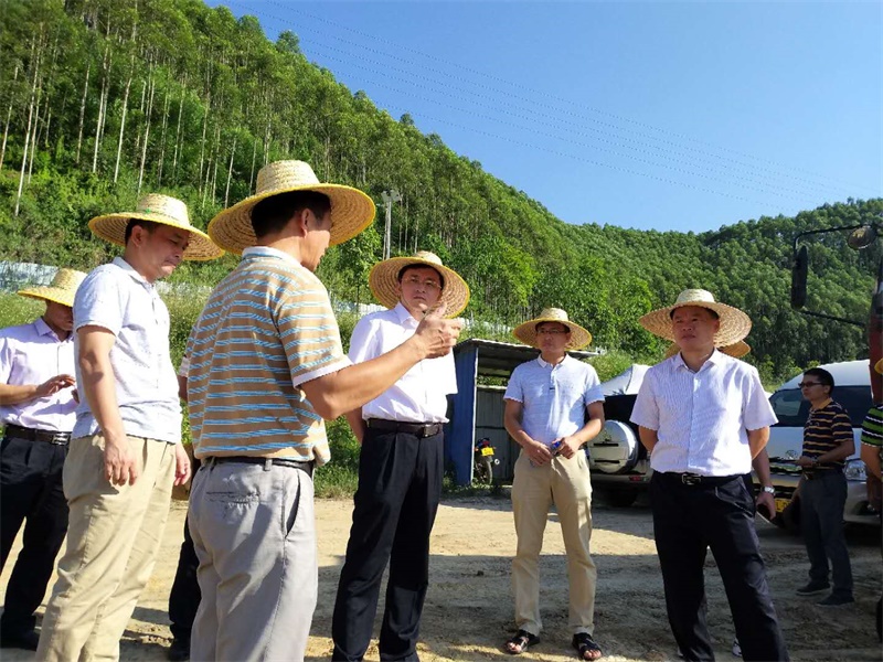 mansion88明升|主页