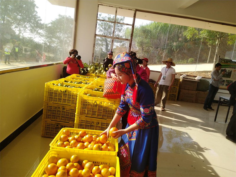 mansion88明升|主页