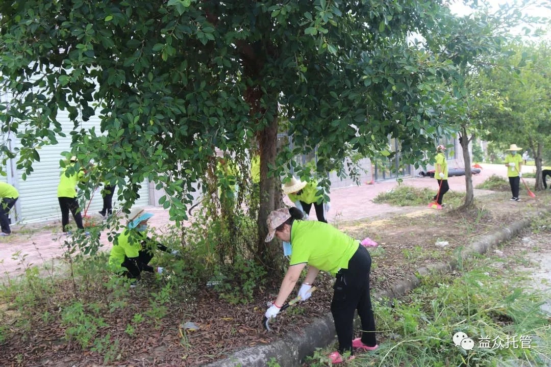 mansion88明升|主页