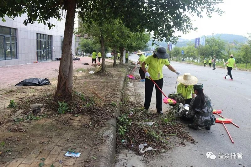 mansion88明升|主页