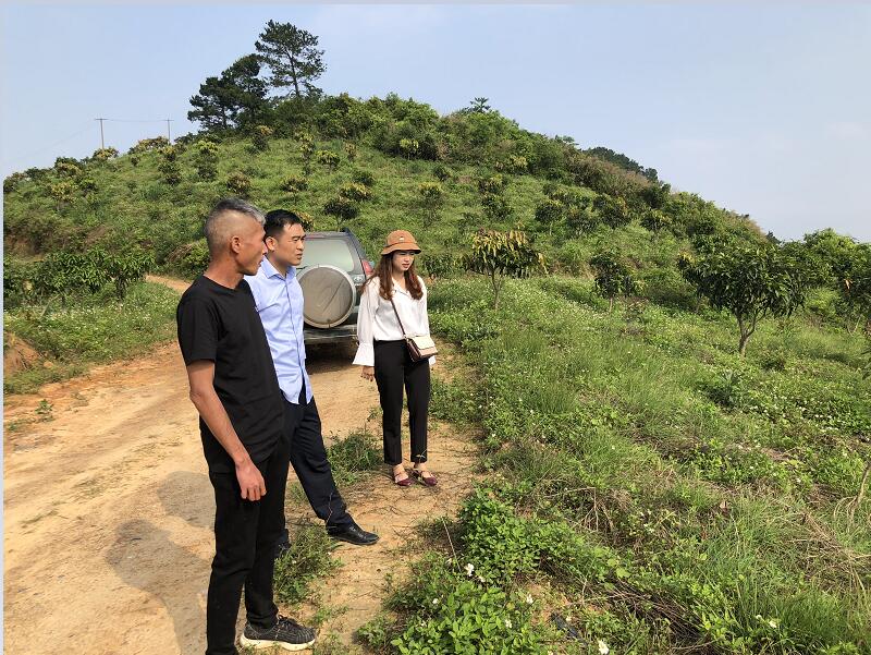 mansion88明升|主页