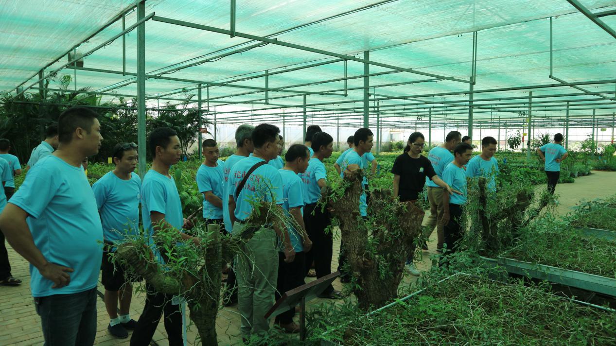 mansion88明升|主页