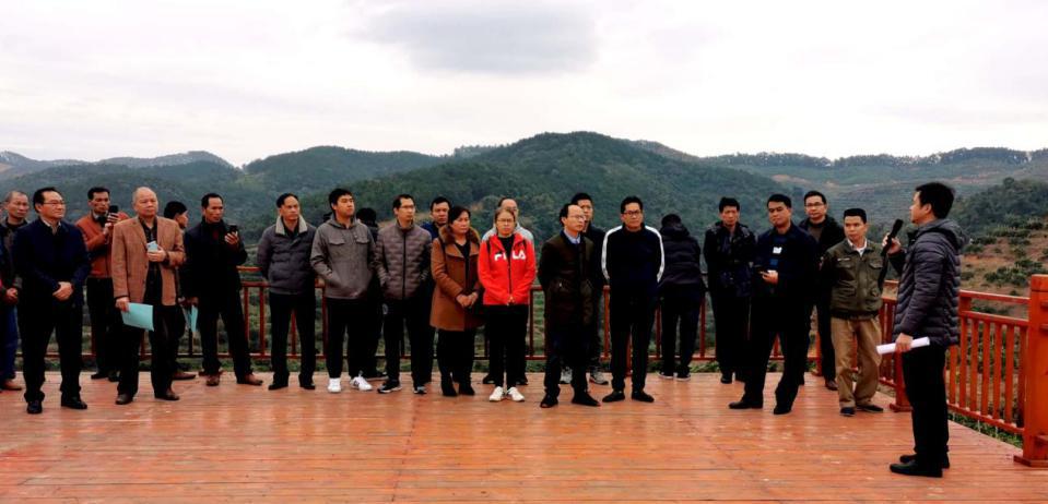 mansion88明升|主页