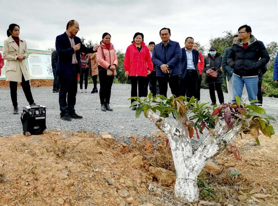 mansion88明升|主页